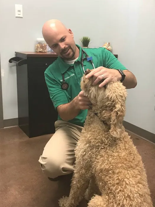 Tall Grass Animal Hospital 7