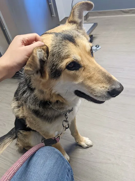 VCA Smoky Hill Animal Hospital 5