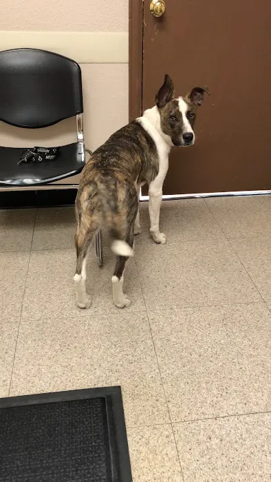 VCA Smoky Hill Animal Hospital 6