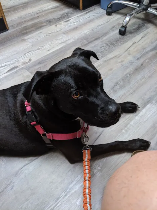 VCA Smoky Hill Animal Hospital 7
