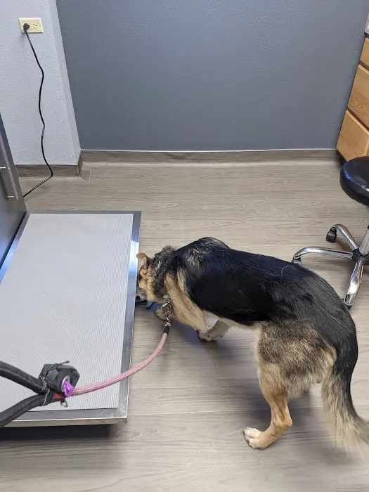 VCA Smoky Hill Animal Hospital 8