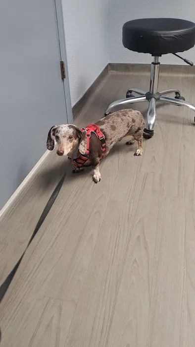 VCA Smoky Hill Animal Hospital 3