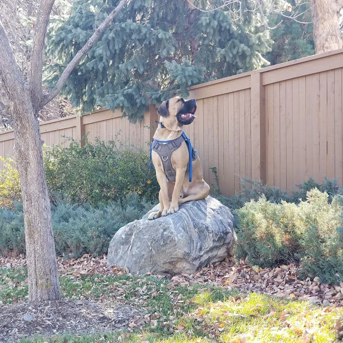 VCA Smoky Hill Animal Hospital 4