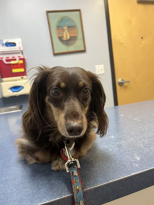 Huron Animal Hospital 2