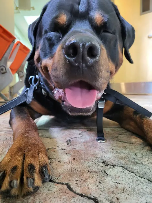 Huron Animal Hospital 4