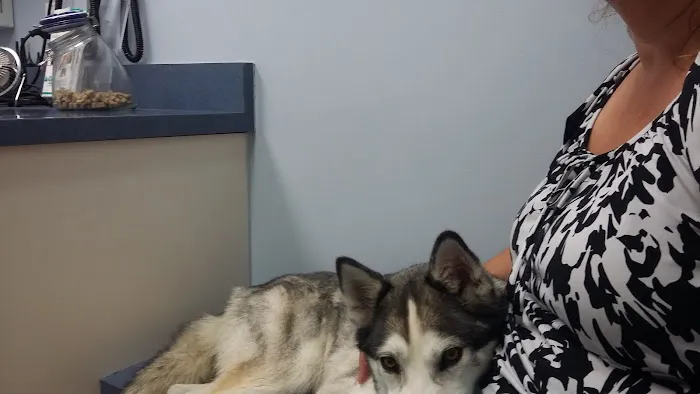 Huron Animal Hospital 8