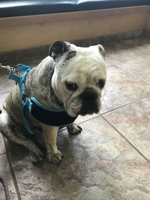 Huron Animal Hospital 10