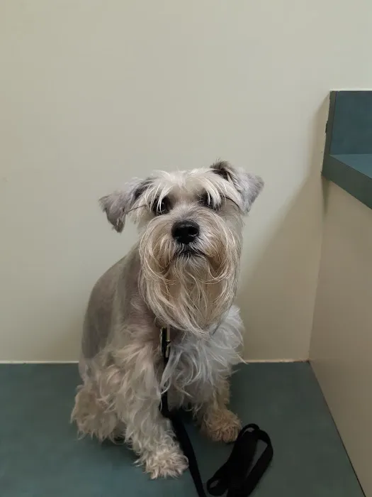 Huron Animal Hospital 6