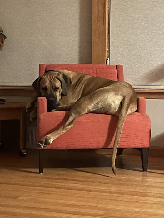 Castle Pines Veterinary Hospital 3