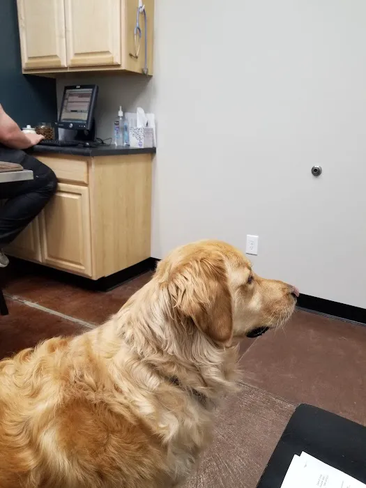 Castle Pines Veterinary Hospital 9