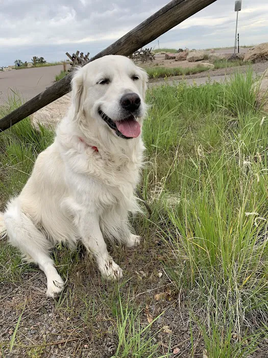 Brekke Veterinary Clinic Happy Canyon Rd 1