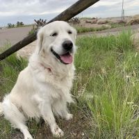 Brekke Veterinary Clinic Happy Canyon Rd ico