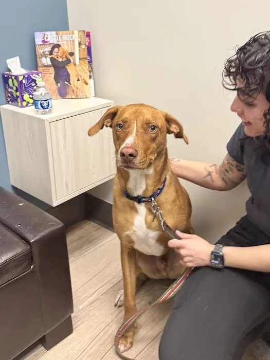 Brekke Veterinary Clinic Happy Canyon Rd 4