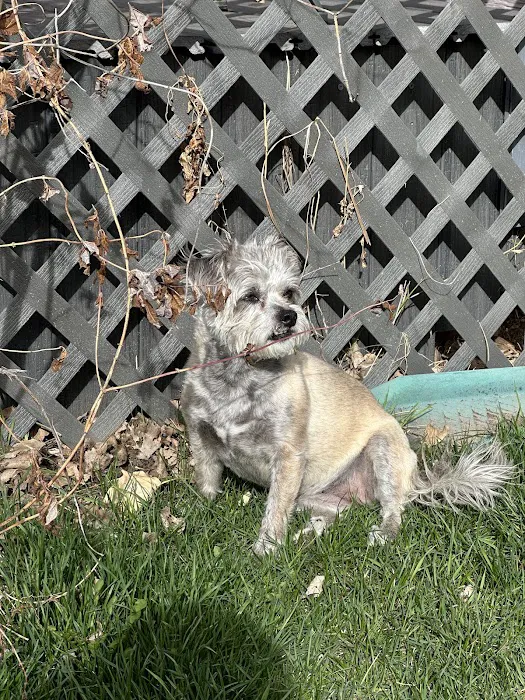 Cherished Companions Animal Clinic 4