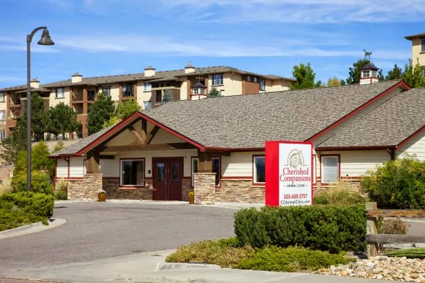 Cherished Companions Animal Clinic 5