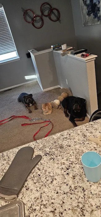 Banfield Pet Hospital 12