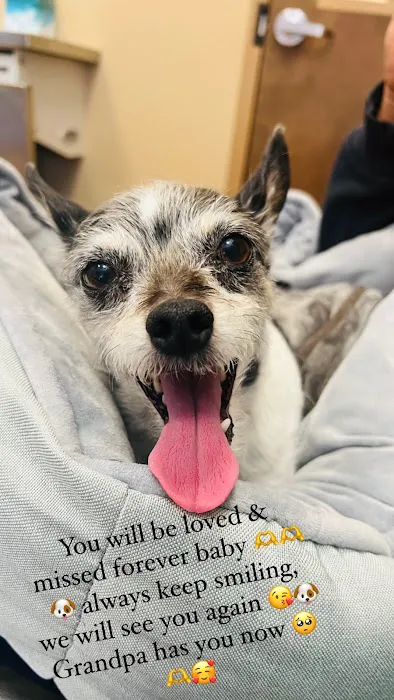Banfield Pet Hospital 12