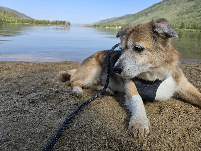 Veterinary Specialists of the Rockies 12