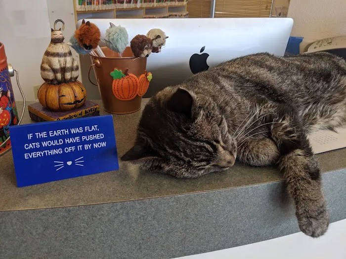 Purrfect Health Cat Hospital 6