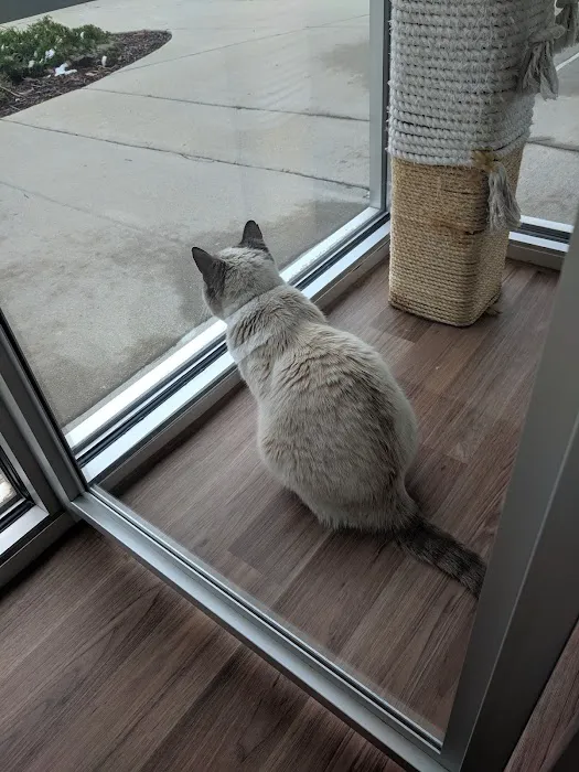 Purrfect Health Cat Hospital 10
