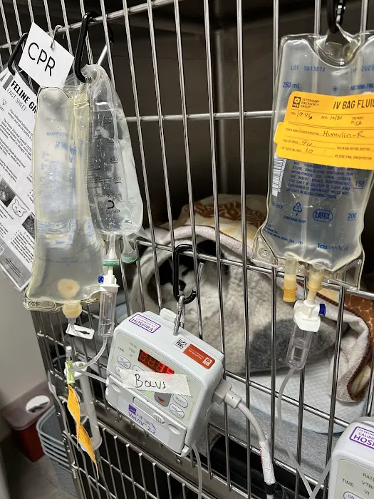 Purrfect Health Cat Hospital 7
