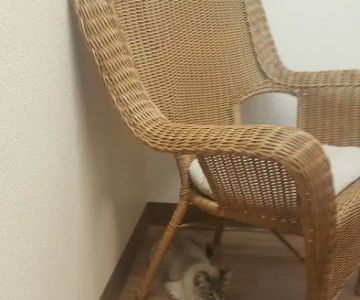Purrfect Health Cat Hospital