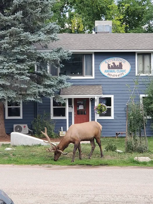 Kittredge Animal Clinic 12