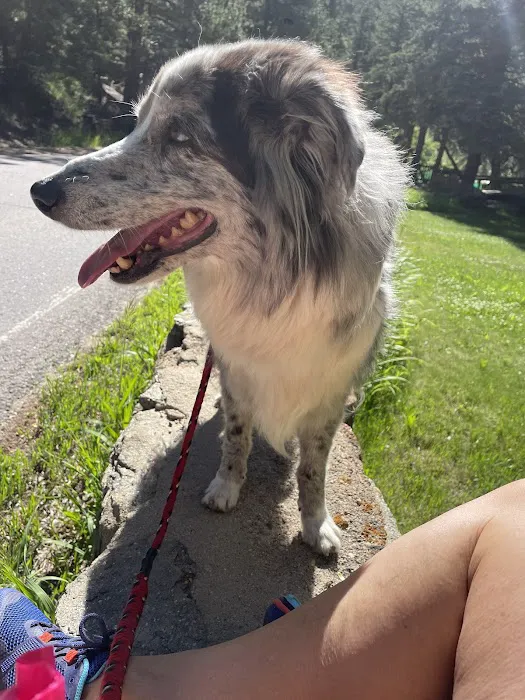Kittredge Animal Clinic 12