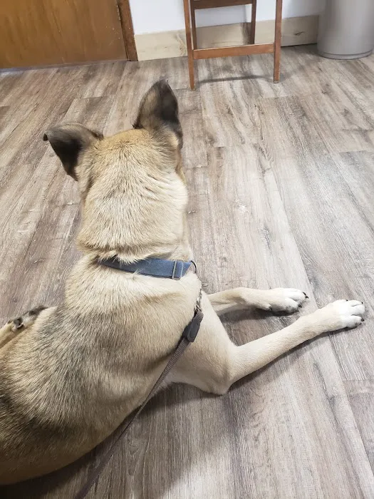 Kittredge Animal Clinic 12