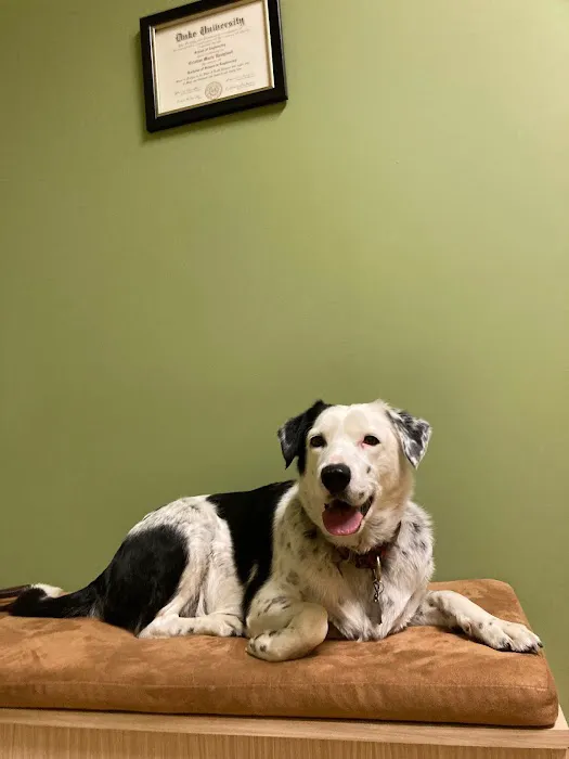 Elk Meadow Veterinary Hospital 8