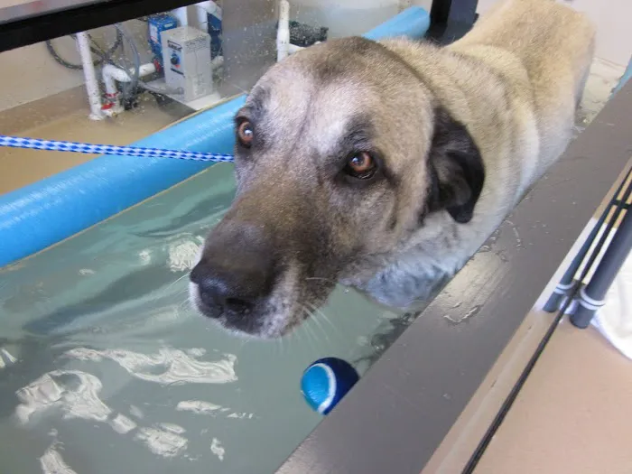 Elk Meadow Veterinary Hospital 6