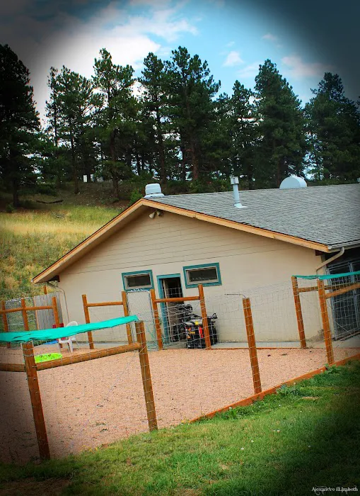 Beaver Brook Pet Center 4