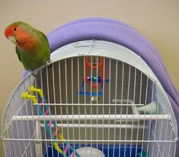 Beaver Brook Pet Center 2