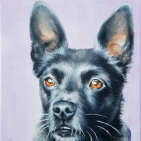 Circle of Animals, LLC ico