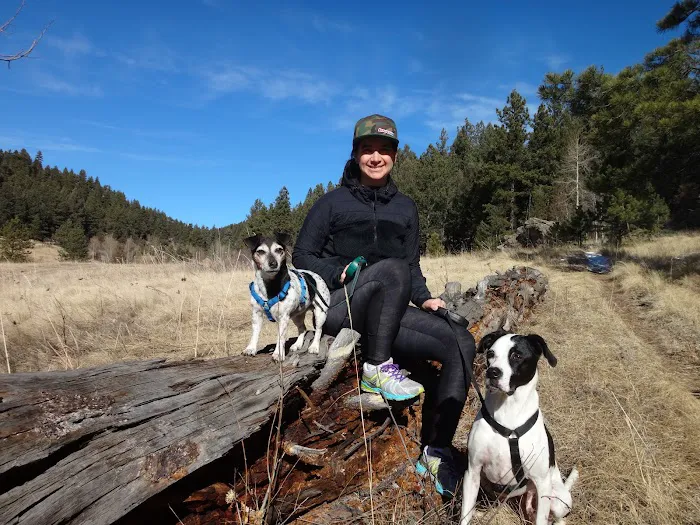 Mountain Parks Veterinary Hospital 8
