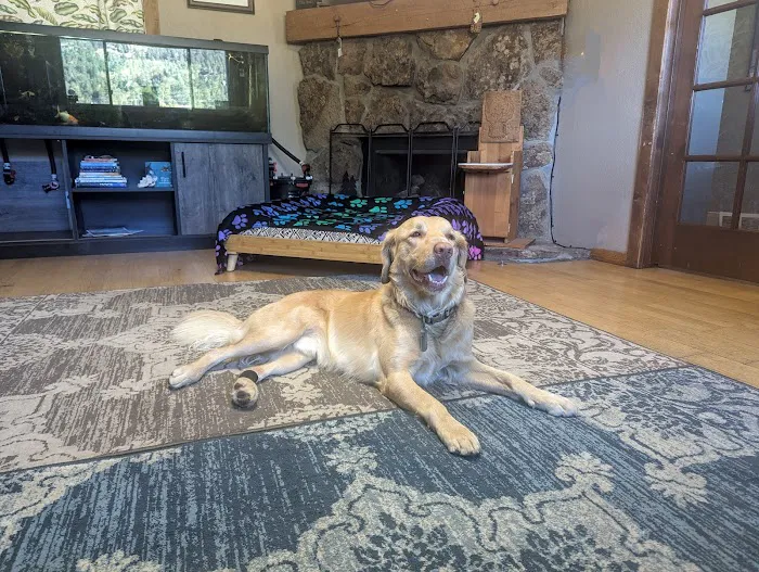 Aspen Park Vet Hospital 2