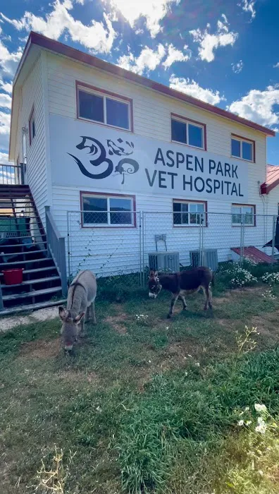 Aspen Park Vet Hospital 3