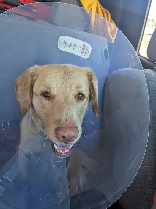 Aspen Park Vet Hospital 4