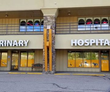 Sano Hospital for Animals