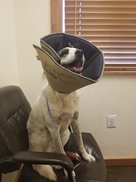 Aspen Creek Veterinary Hospital (at Pleasant Park) 2