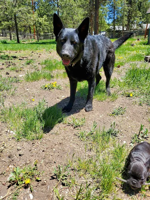 Aspen Creek Veterinary Hospital (at Pleasant Park) 5