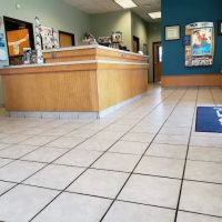 VCA Thornton Animal Hospital ico