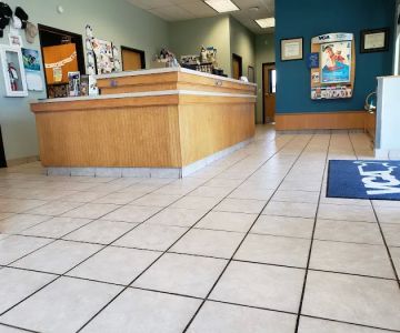 VCA Thornton Animal Hospital