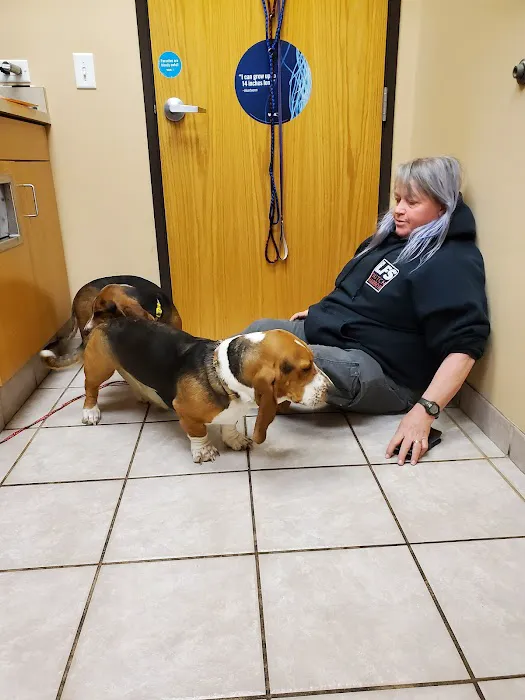 VCA Thornton Animal Hospital 7