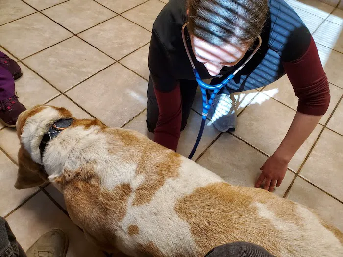 VCA Thornton Animal Hospital 5