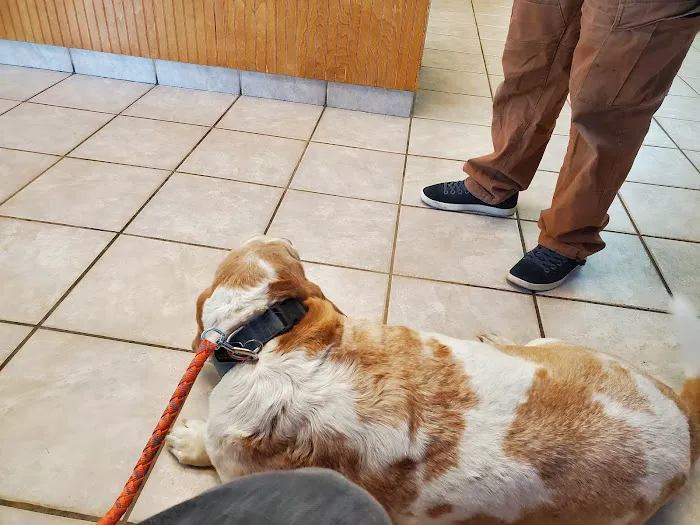 VCA Thornton Animal Hospital 9
