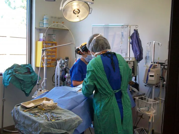 VCA Thornton Animal Hospital 10