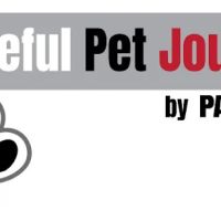 Peaceful Pet Journey ico