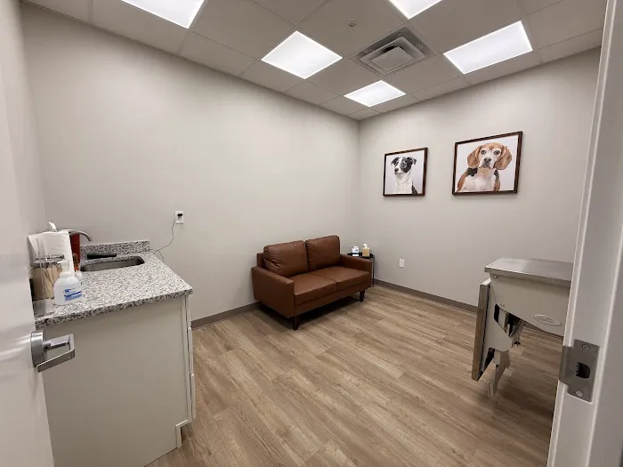 Paw Haven Animal Hospital Lakeland 12