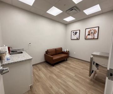 Paw Haven Animal Hospital Lakeland